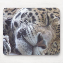 Leopard Picture Mouse Pad