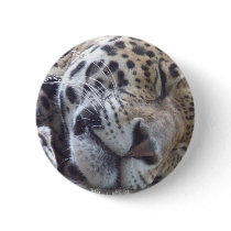 Leopard Picture Round Magnet Button