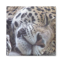 Leopard Picture Square Magnet