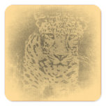 Leopard Portrait Vintage Sticker