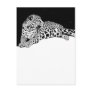 Leopard Postcards
