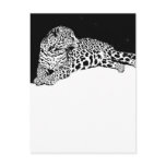 Leopard postcards