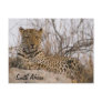 Leopard resting on a mound