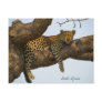 Leopard sitting in a tree