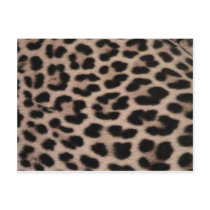 Leopard Skin background Post Cards