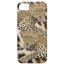 Leopard & Spots iPhone5 Case iPhone 5 Cover