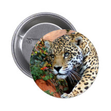 Leopard Stalking Macro Pinback Buttons