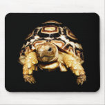 Leopard Tortoise Mousepad