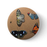 Lepidopterist - My Butterfly Collection buttons