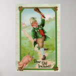 Leprechaun and Pig posters
