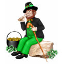 Leprechaun Gold t-shirts