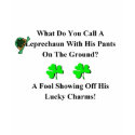 Leprechaun Pants On The Ground Tshirt