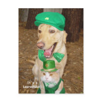 Leprechaun Sighting!
