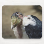 Leptoptilos crumeniferus mouse pad