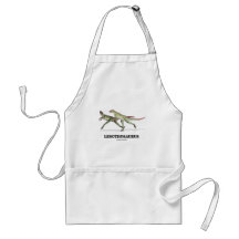 Lesothosaurus (Ornithischian Dinosaur) Apron