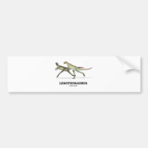 Lesothosaurus (Ornithischian Dinosaur) Bumper Sticker