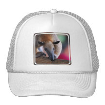 Lesser Anteater  Baseball Hat