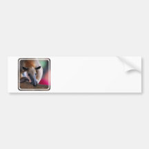 Lesser Anteater  Bumper Stickers