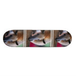 Lesser Anteater Skateboard