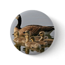 Lesser Canada Goose Brood Pin
