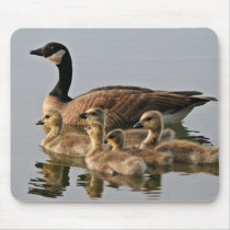 Lesser Canada Goose Brood Mousepads