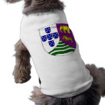 Lesser  Portuguese West Africa, Angola Pet Clothes