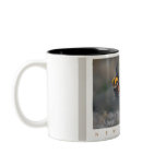 Lesser Prairie Chicken mugs