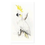 Lesser Sulphur-Crested Cockatoo by Edward Lear business cards