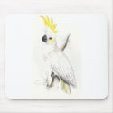 Lesser Sulphur-Crested Cockatoo by Edward Lear mousepads
