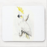 Lesser Sulphur-Crested Cockatoo by Edward Lear mousepads