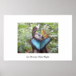 Let Dreams Take Flight posters
