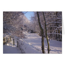 let it snow... cards