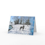 Let it Snow, Let it Snow, Let it Snow Greeting Cards