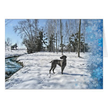 Let it Snow, Let it Snow, Let it Snow Greeting Cards