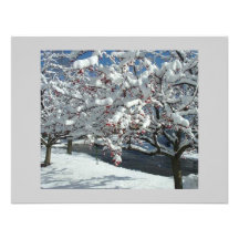Let it Snow, Let it Snow, Let it Snow Personalized Announcement