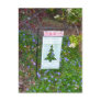 Let it snow! postcard
