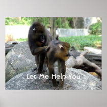 let me help you - smart baboons print