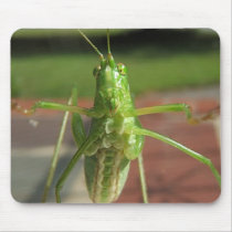Let me in ~ mousepad
