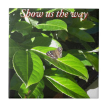 Let Nature Show Us The Way Tiles