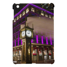Let out some Steam Case For The iPad Mini