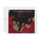 LET SLEEPING DOGS LIE PERSONALIZED ANNOUNCEMENTS