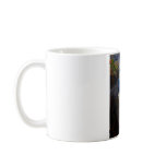 Letchworth State Park Mug