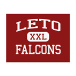 Leto - Falcons - Comprehensive - Tampa Florida Post Card