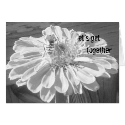 Let's Get Together Blank Card by shawke123