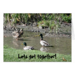 Lets get together! cards