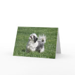 let's play greeting card