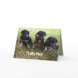 Lets Play!  German Shepherd Puppy Greeting Card