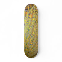 Let's Roll Skate Boards
