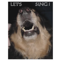 LET'S SING ! FLYER