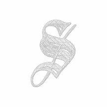 Letter S Monogram Embroidered Shirt